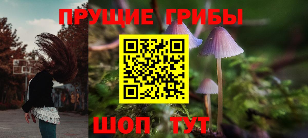 Братск  Галлюциногенные грибы Cubensis  Вход с VPN  Псилоцибиновые грибы MAGIC MUSHROOMS 