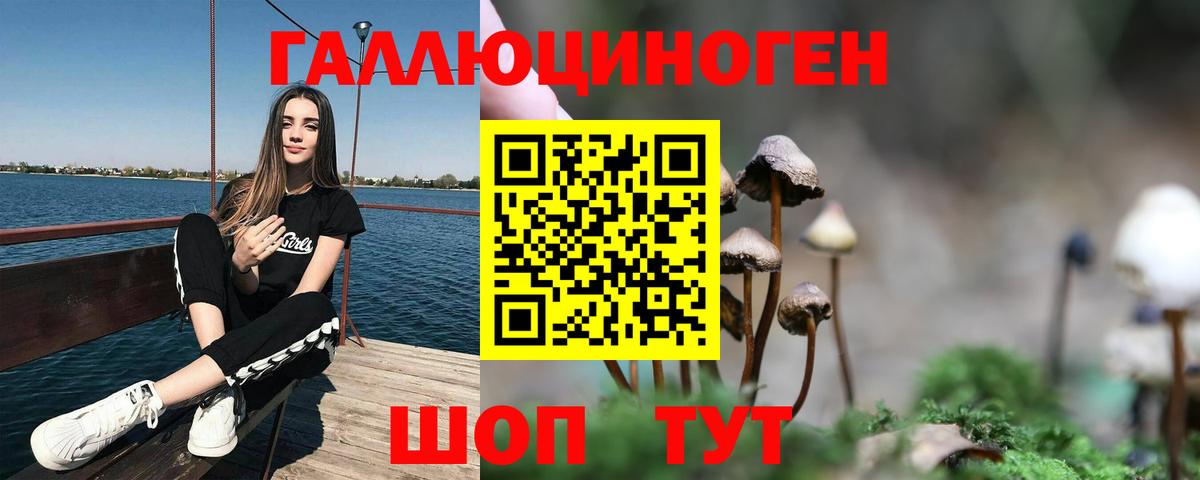Галлюциногенные грибы мухоморы Братск