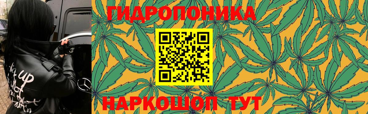 Шишки марихуана конопля  Марихуана планчик  Каннабис Ganja  Вход с VPN  Братск  Шишки марихуана SATIVA & INDICA 